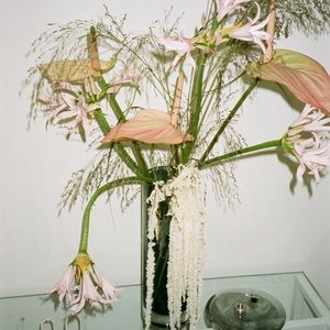 Meet your Posher, Fiona